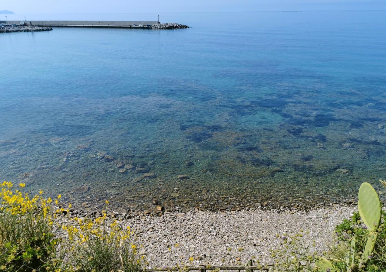 Appartamento Dominella Casal Velino Esterno foto